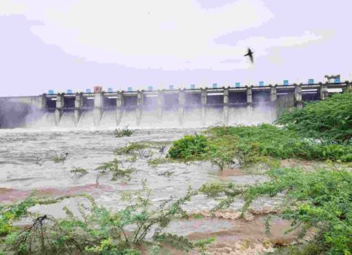 माजलगाव धरण १०० टक्के भरले