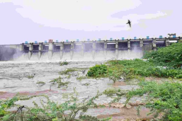 माजलगाव धरण १०० टक्के भरले