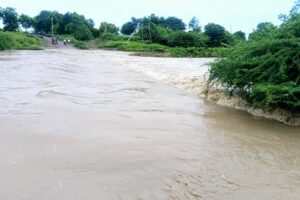 घळाटी नदीला पूर, उभ्या सोयाबीन, कापसात शिरले पाणी
