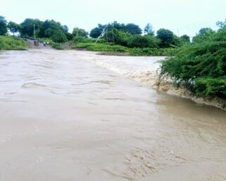 घळाटी नदीला पूर, उभ्या सोयाबीन, कापसात शिरले पाणी