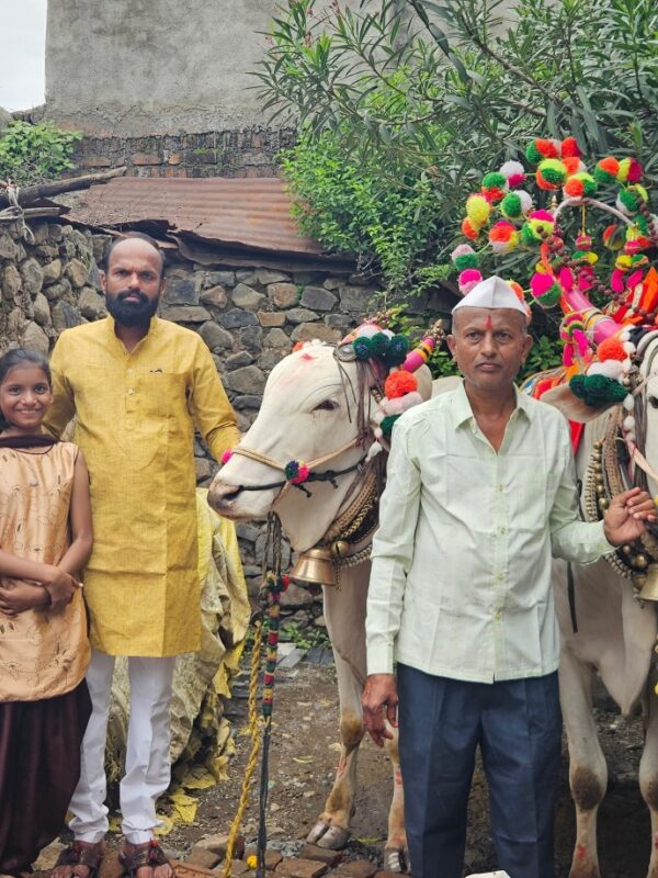 माजलगावात पारंपारिक पध्दतीने बैलपोळ्याची मिरवणूक उत्साहात