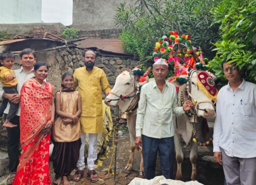 माजलगावात पारंपारिक पध्दतीने बैलपोळ्याची मिरवणूक उत्साहात