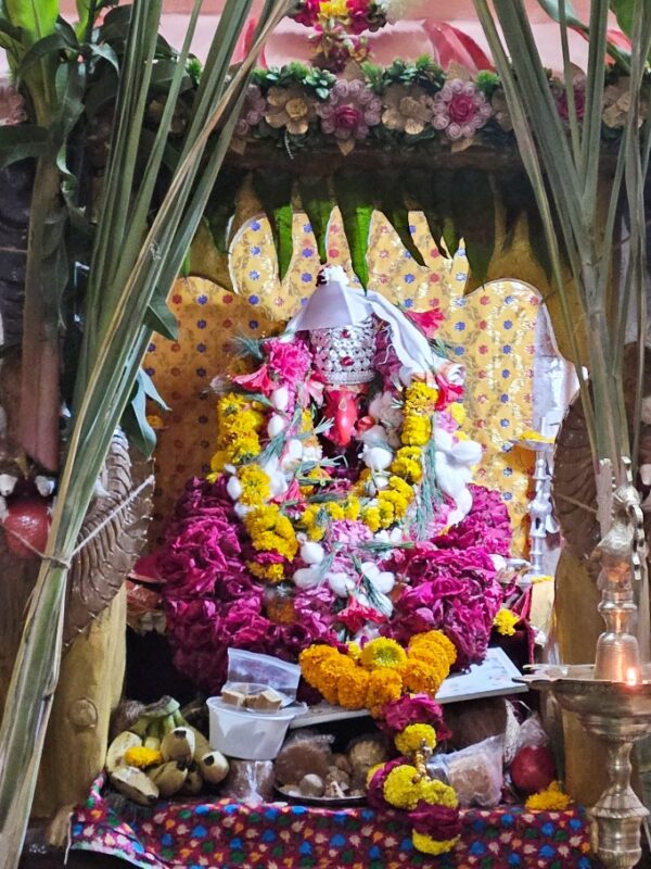 श्री गणेश जयंतीनिमित्त माजलगावात भक्तिमय वातावरण