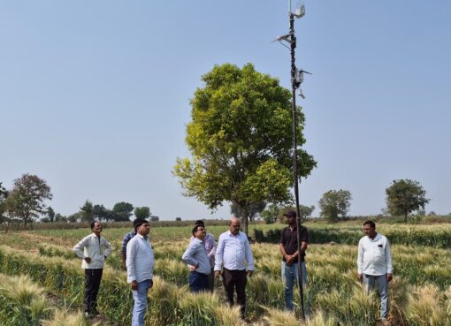 माजलगाव तालुक्यातील पहिले ए.आय. आधारित हवामान केंद्र गंगामसला-तेलगाव खुर्द येथे कार्यान्वित