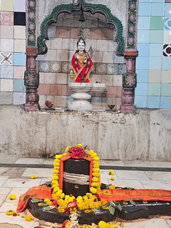 माजलगाव मठात १७ एप्रिलला भव्य रक्तदान शिबिर